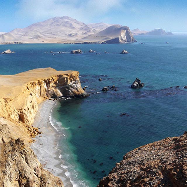 Tour Islas Ballestas y Reserva de Paracas