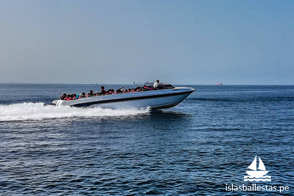 Tours a las Islas, desde el Muelle el Chaco o La Marina Turística de Paracas